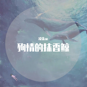 亚洲国产综合久久精品
